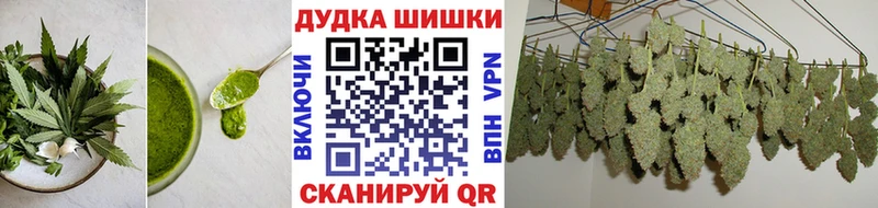 где продают наркотики  Олонец  Еда ТГК конопля 