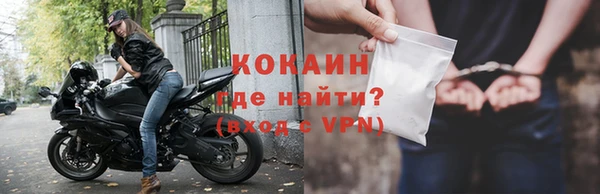 стаф Карпинск