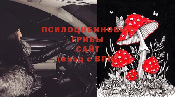 apvp Карталы