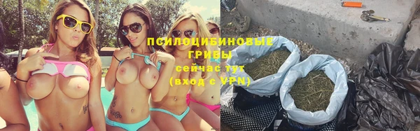 apvp Карталы