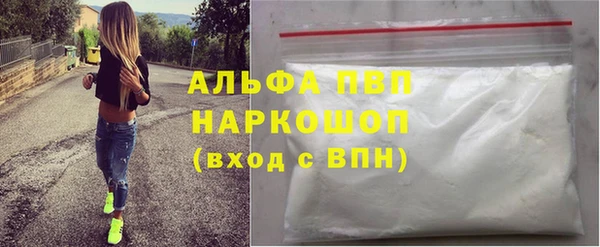 стаф Карпинск